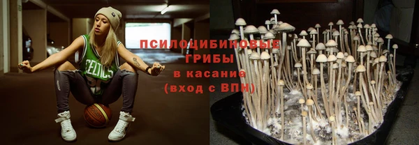 круглые Аркадак