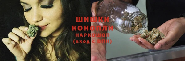 прущие грибы Кодинск